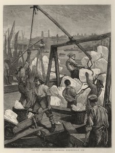 Schizzi di Londra, sbarco del ghiaccio norvegese